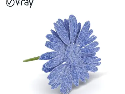 Aster White Pristine Flower Detailed Model Pack Low-poly 3D model