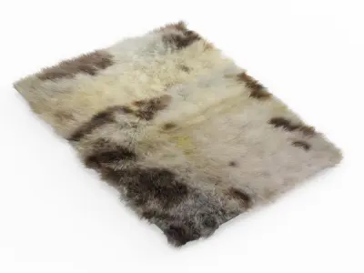 Sheepskin Soft Wool Rug 3D model