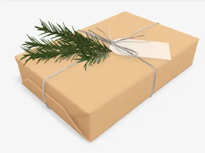 Wrapped Christmas gift 05 3D model