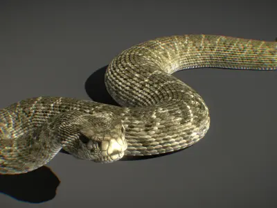 Western Diamondback Rattlesnake 3D model