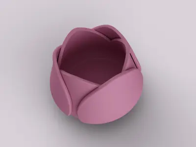 Decorative Tulip Succulent 3D print model