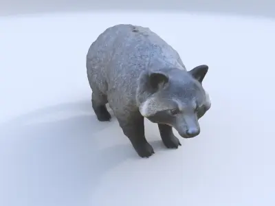 Binturong 3D model