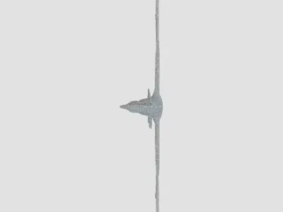Phoenix Bird in Flight 3D Model Low-poly 3D model