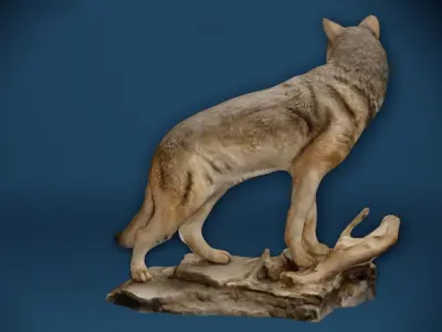 Big Grey Wolf Standing On Rocks Figure Low-poly 3D model