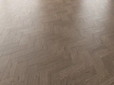 Parquet Oak Missisippi WWL set 5 3D model