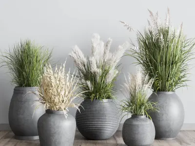 plant SET pampas grass flowerpot outdoor plant 128 3D model