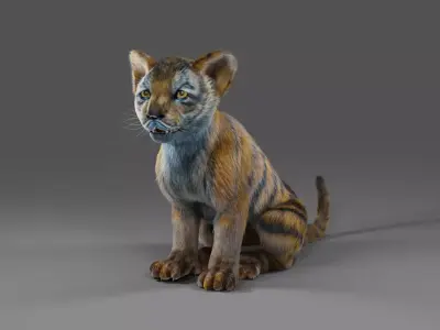 Fur White Tiger Cub Rigged in Blender Low-poly 3D model