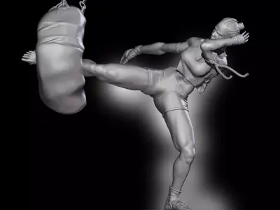 Mai Tai Fighter 3D print model