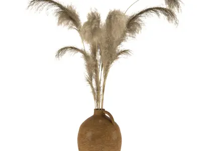 dry plants-pampas in jars of clay 3D model