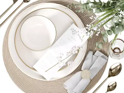 Table Set 11 3D model