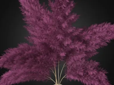 Bouquet of pink pampas 3D model