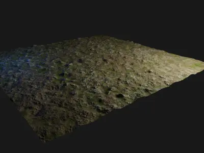 dry ground grassy Texture