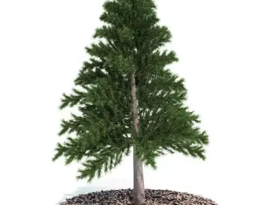 Decorative Miniature Tabletop Evergreen Pine Tree 3D model