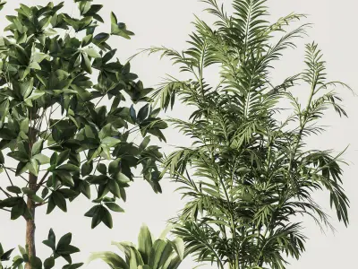  IndoorSetPlant058 3D model