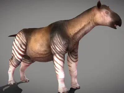 Paraceratherium  Low-poly 3D model