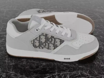 CHRISTIAN DIOR B28 UPTOWN LOW 3D SHOES GREY WHITE Low-poly 3D model