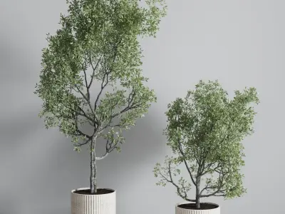 indoor plant set 374 plant tree bush concrete dirt vase Low-poly 3D model