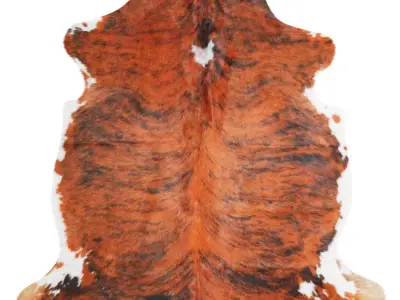 Tricolor Cowhide Rug A27021 3D model