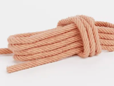 -Rope V4- 3D model