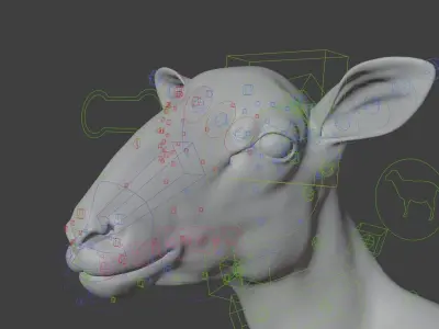 Young Sheep With 5 Animations  VFX Grace 3D model