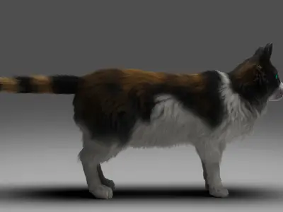 Fur Calico Cat Rigged 01 Low-poly 3D model