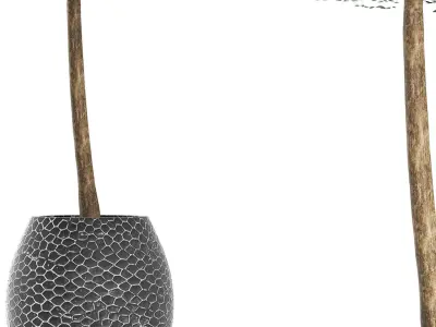 Plants Collection 151 Ligustrum Lucidum 3D model