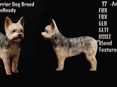 Yorkshire Terrier Dog Low-poly 3D model