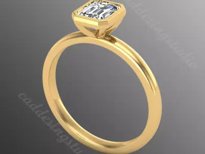 Ring ri1 3D print model