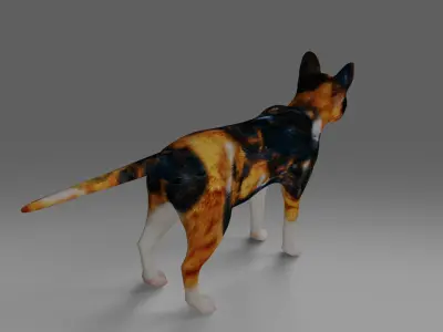 Calico Cat NO Rigged V4 in Blender Low-poly 3D model