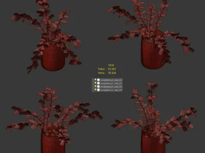 Eucalyptus in a vase - 4 models 3D model