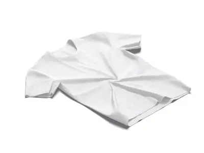 Flat Lay T-shirt - twisted fabric basic tshirt Low-poly 3D model