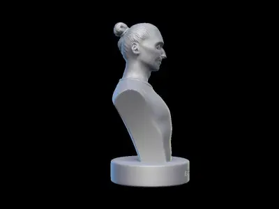 Zlatan Ibrahimovic Bust model 3D print model