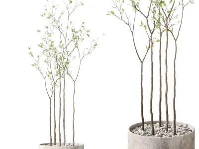 Plants collection vol 44