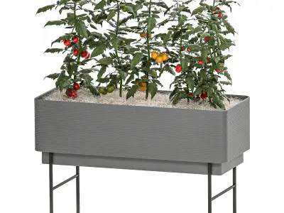 Home mini-garden in a pot in the kitchen 526 3D model