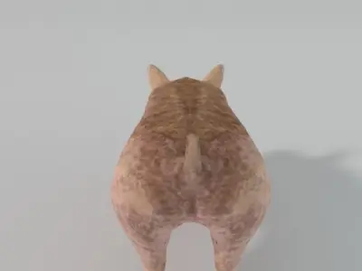 Standard Pig Low-poly 3D model