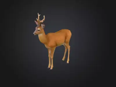 Graceful Stag Low-poly 3D model
