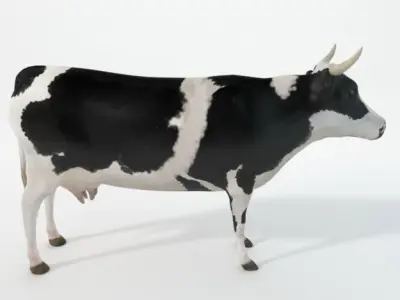 White Cow Low-poly 3D model purchase
