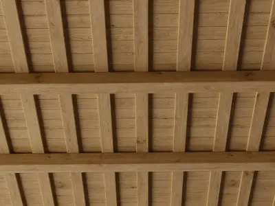 Wooden Ceiling 3D model