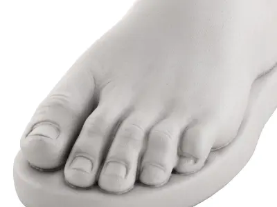 Plaster figure of the foot of Hercules 3D model