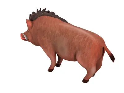 boar   rig  high-poly  textured 3D model