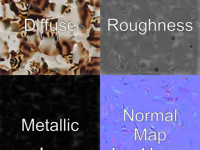 Zebra Shark 3D Model with Striped Juvenile Pattern Low-poly 3D model