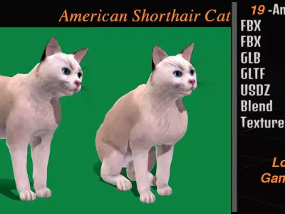American Shorthair Cat Low-poly 3D model