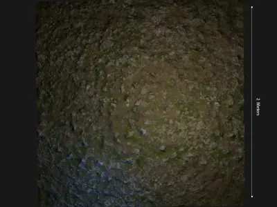 dry ground grassy Texture