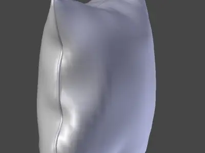 Voyage Cushion - Chicken -Piped Pillow 3D model