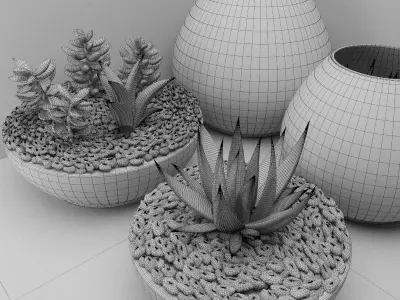 Succulents with stones in glass bowl 3D model