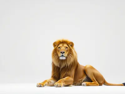 Realistic Lion 3D Model with Detailed Mane Low-poly 3D model