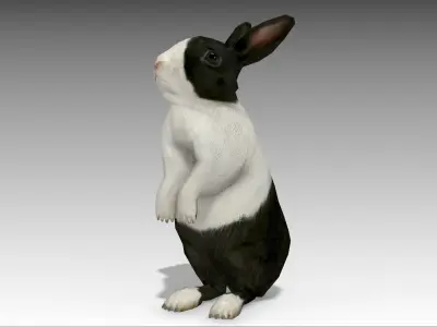 Rabbit bunny Low-poly 3D model