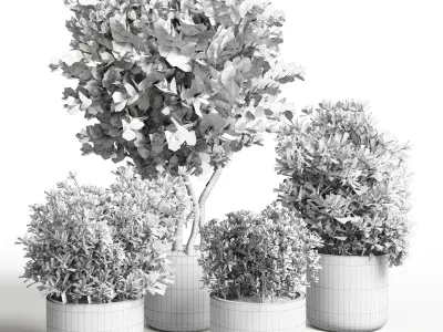 Collection Outdoor plant dried  in metal vase 17 Low-poly 3D model