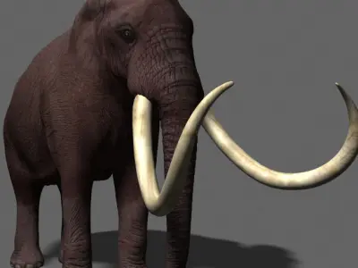 Hollywood Mammoth - 3d model 3D model