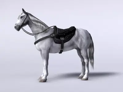White horse with saddle and bags Low-poly 3D model